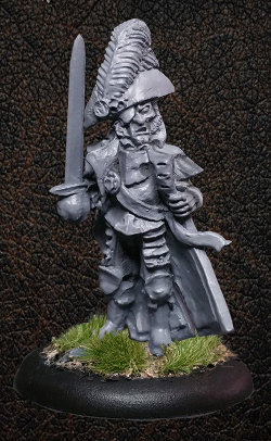Albionnican Captain - Alternate for ArcWorlde from Warploque Miniatures